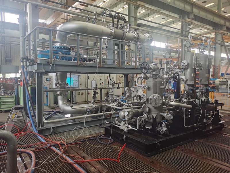 FAT for Liquid Ring Compressor & Vacuum System INEOS Styrolution KAIMEN Project